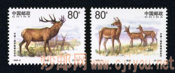 1999-5T 马鹿(中国和俄罗斯联合发行)1999.5.18.jpg 1999-5T 马鹿(中国和俄罗斯联合发行)1999.5.18.jpg