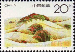 ɳĮ�̻�