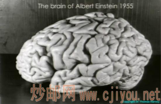 1955ά˹̹ĵգо˵миͨҿ