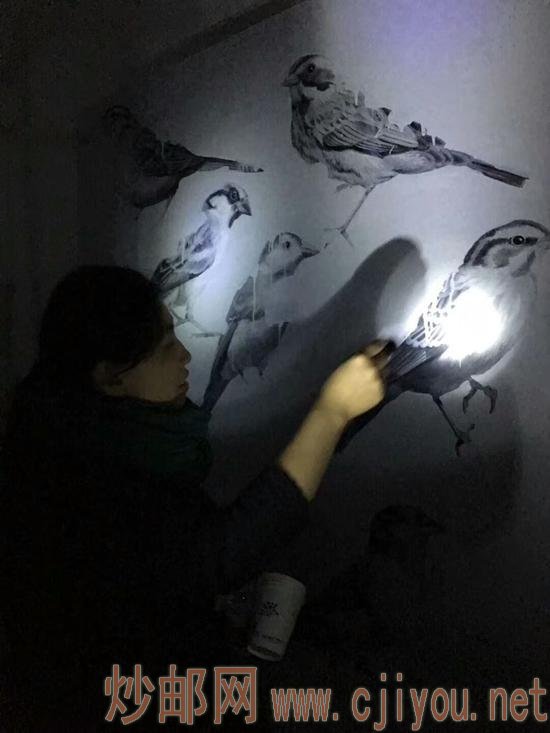 ڰе̽Ѱ