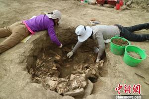 考古人员在发掘清理。陕西省考古研究院供图