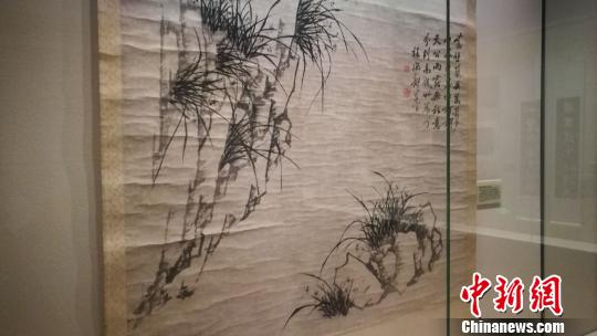 郑板桥书画真迹《峤壁兰图》 应妮 摄