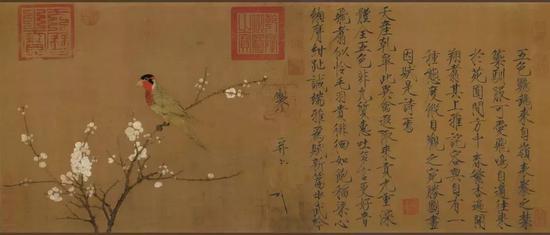 宋赵佶五色鹦鹉图(画心) 绢本53.3x125.1cm