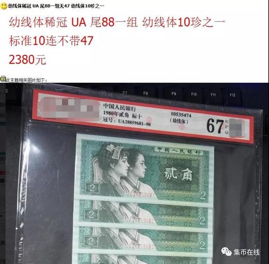 8002幼线体稀冠参考价