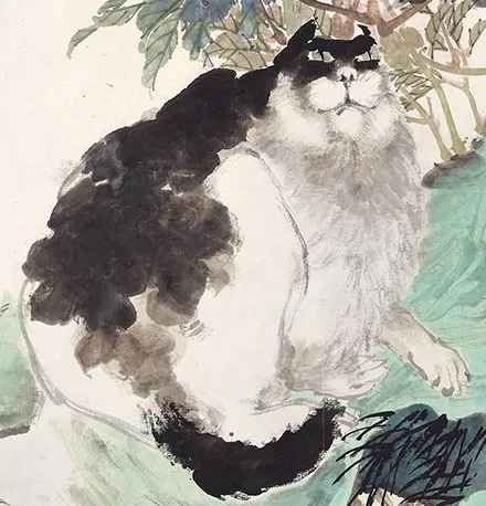 游泳健身了解一下?