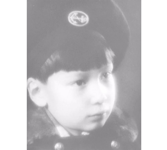 ʱСʯ1923-2017