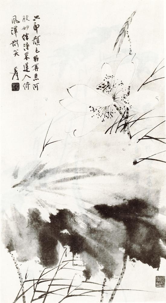 Ŵǧɻ