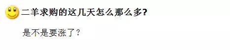 为何生肖币行情率先走高?
