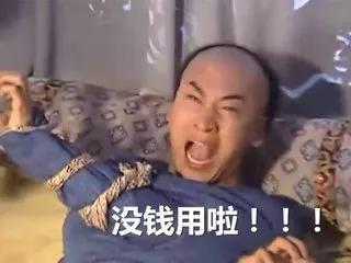 2019猪年金银币