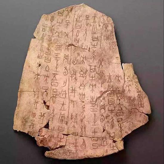 ▲武丁时期(约公元前13世纪)的甲骨