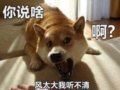 ôǮ׻ˣ
