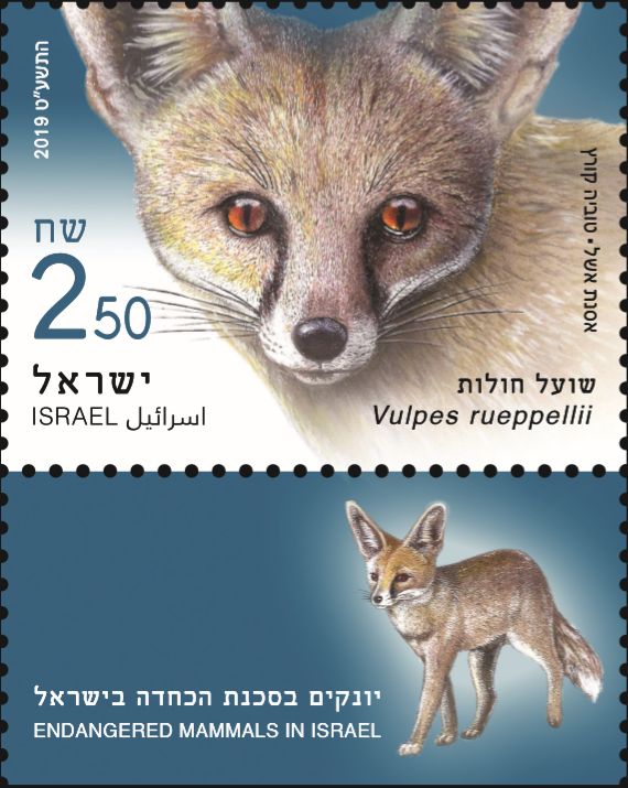 ��ɫ��5��1�շ��б�Σ���鶯����Ʊ