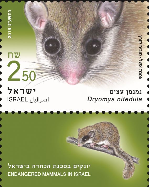 ��ɫ��5��1�շ��б�Σ���鶯����Ʊ