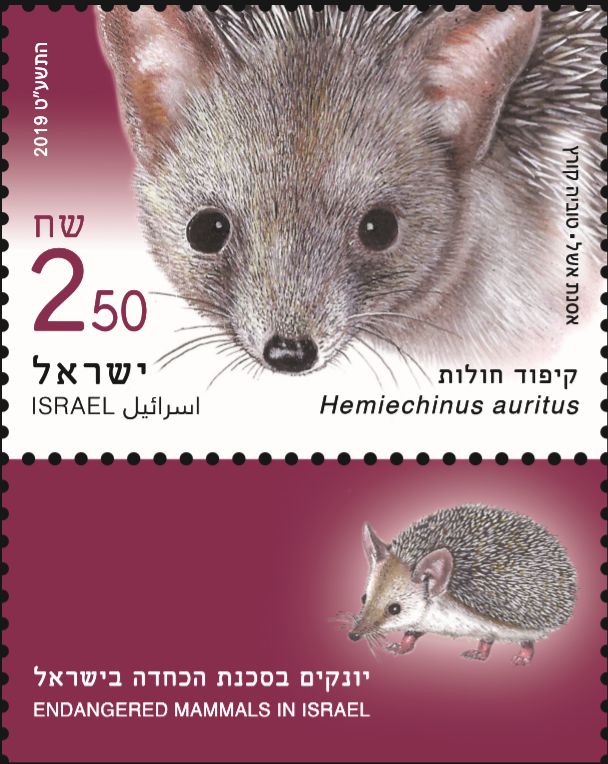 ��ɫ��5��1�շ��б�Σ���鶯����Ʊ