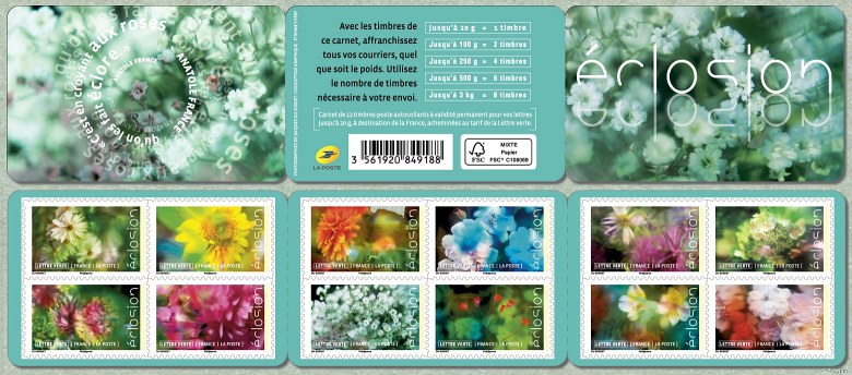 ����5��3�շ��Ш�closionС��Ʊ