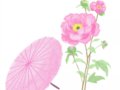 حҩŵʫ