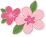 漂亮的樱花