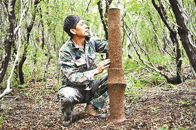 在黄楼院长城附近的密林中,杨国庆先生发现的火炮