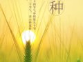 죬ֵ÷ʱ