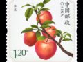 Ѱζһˮ