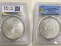 ע⣡PCGSֳٺУ