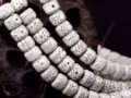 10ао͸Ͻ˰ɣ